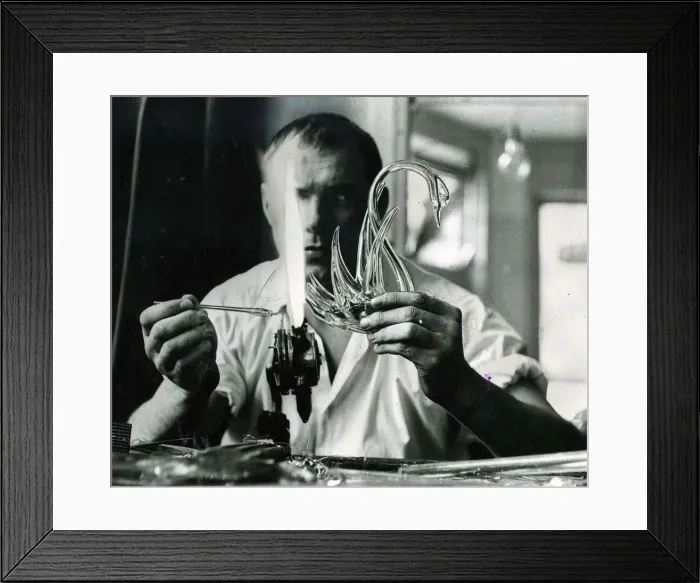 Framed Print : Glass blower at work finishing off a swan August 1955