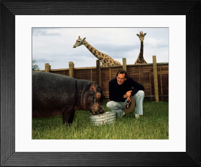 Framed Print : John Cleese at Safari Park June 1974 A©mirrorpix Framed Print : John Cleese at Safari Park June 1974 A©mirrorpix