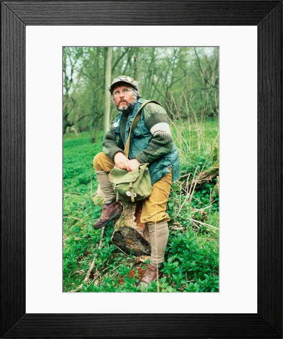 Framed Print : Bill Oddie comedian and bird watcher August 1991 A©mirrorpix