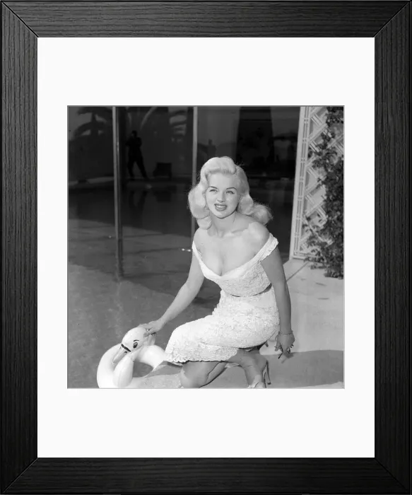 Framed Print : Actress Diana Dors with an inflatable swan as she poses by a swimming pool at cannes film Framed Print : Actress Diana Dors with an inflatable swan as she poses by a swimming pool at cannes film