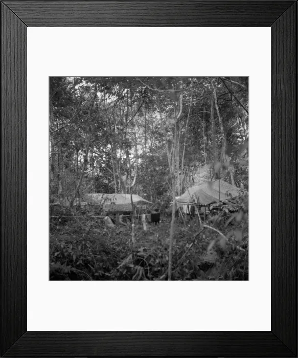 Framed Print : A British anti terrorist jungle camp in Malaya in 1959 Framed Print : A British anti terrorist jungle camp in Malaya in 1959