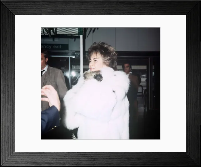 Framed Print : Elizabeth Taylor actress at Heathrow Airport with Pekingese Puppy March 1985