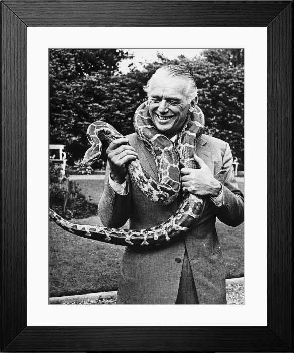 Framed Print : Douglas Fairbanks Jnr actor - Snake Charmer Framed Print : Douglas Fairbanks Jnr actor - Snake Charmer