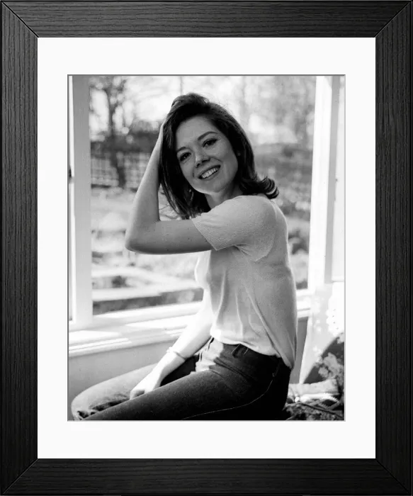 Framed Print : Actress Diana Rigg 1965 Framed Print : Actress Diana Rigg 1965