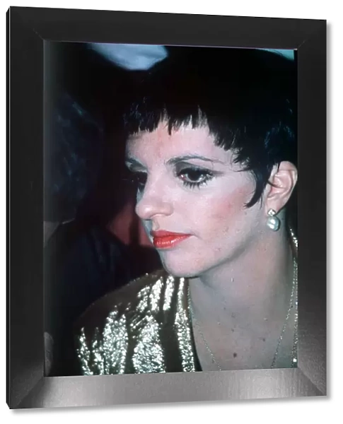Liza Minnelli singer and actress daughter of singer and actress Judy Garland