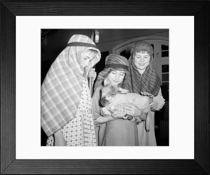 Framed Print : Pupils of the Westfold Primary school Barnes seen here during their performance of Framed Print : Pupils of the Westfold Primary school Barnes seen here during their performance of