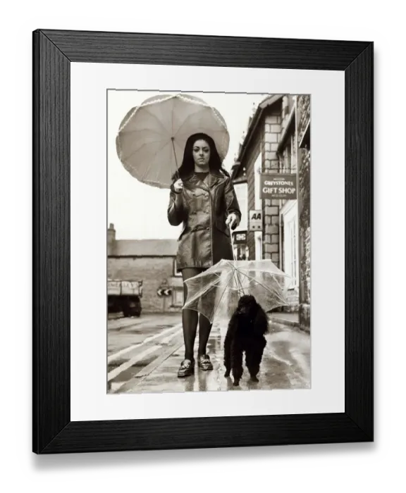 Framed Print : Rikki the Poodle Dog with its own umbrella, walking down the road with owner