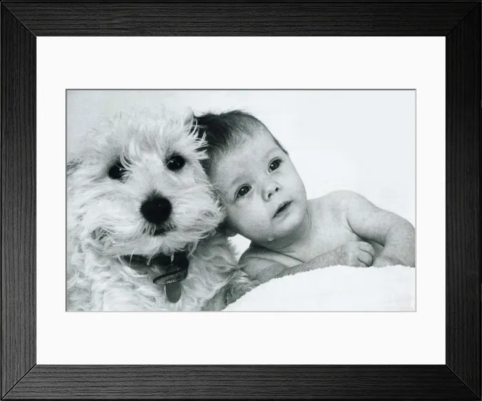 Framed Print : Baby Lucinda with her three year old West Highland terrier Haggis January 1976 Framed Print : Baby Lucinda with her three year old West Highland terrier Haggis January 1976