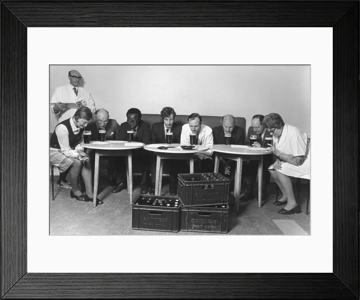 Framed Print : A tasting panel of men and women smell the aroma from glasses of Guiness at the Park Framed Print : A tasting panel of men and women smell the aroma from glasses of Guiness at the Park