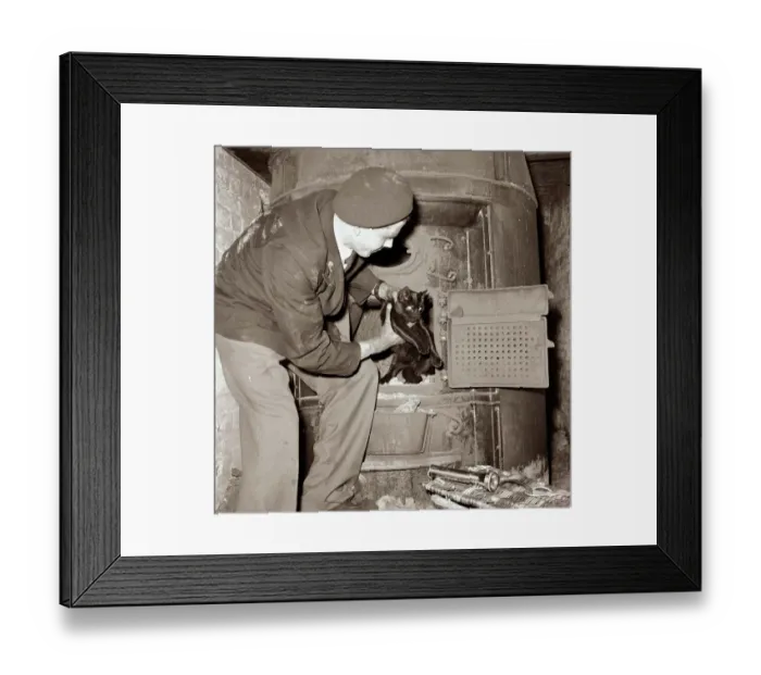 Framed Print : A man rescuing a cat which had become stuck inside an oven Circa October 1956