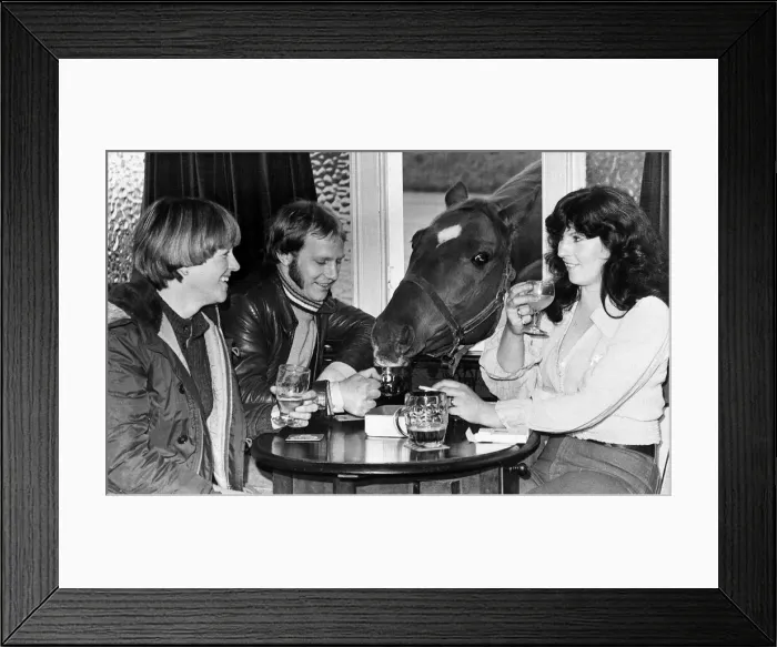 Framed Print : Roman Crumpet the Drinking horse shares a pint with his owners 1977