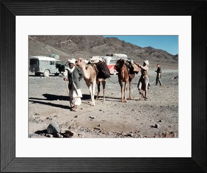 Framed Print : Nomads with Camels near Zahedan Iran -Pakistan Border