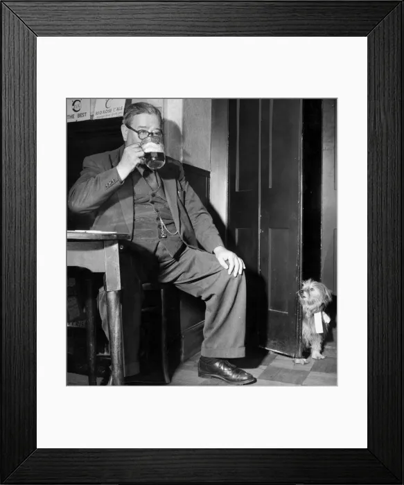 Framed Print : A man drinking a pint at his local pub, has been followed by his pet dog who looks on Framed Print : A man drinking a pint at his local pub, has been followed by his pet dog who looks on