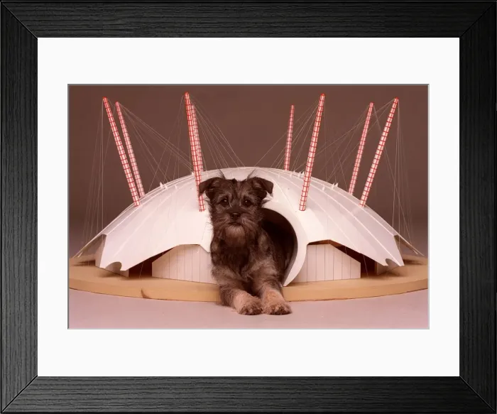 Framed Print : Missey tries out her millennium dome home December 1999 A©Mirrorpix Framed Print : Missey tries out her millennium dome home December 1999 A©Mirrorpix