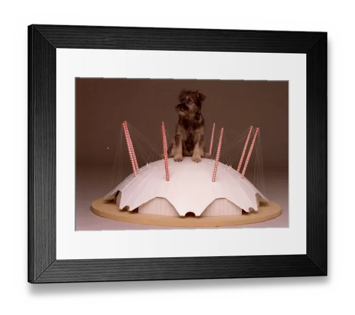 Framed Print : Missey tries out her millennium dome home A©Mirrorpix Framed Print : Missey tries out her millennium dome home A©Mirrorpix