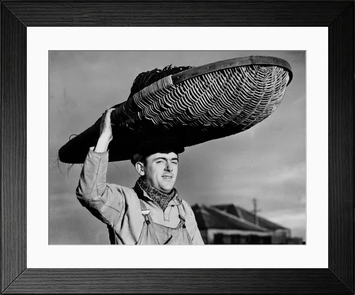 Framed Print : Fisherman David Beattie on his way to mend his nets carrying a huge basket on his head