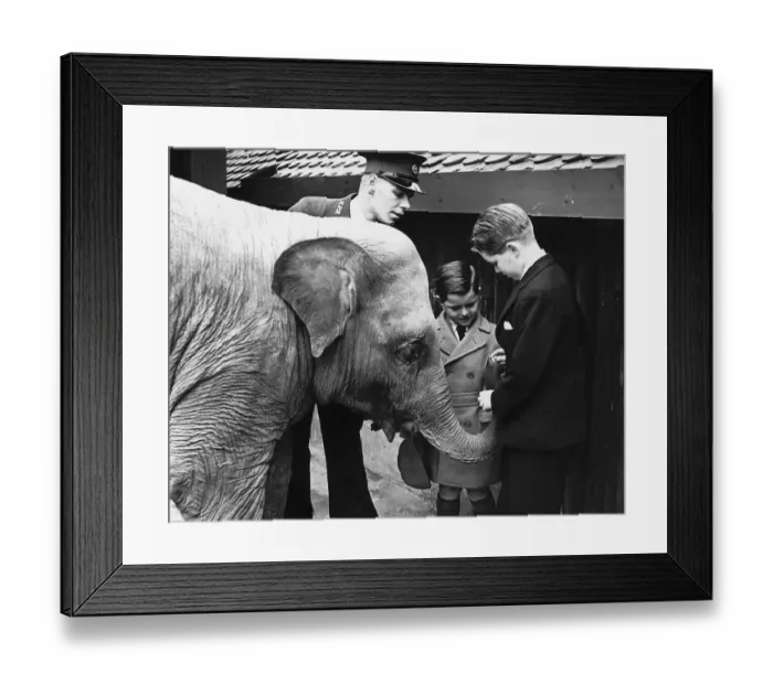 Framed Print : Bobby Kennedy and his younger brother Edward Kennedy, the two youngest sons of Framed Print : Bobby Kennedy and his younger brother Edward Kennedy, the two youngest sons of