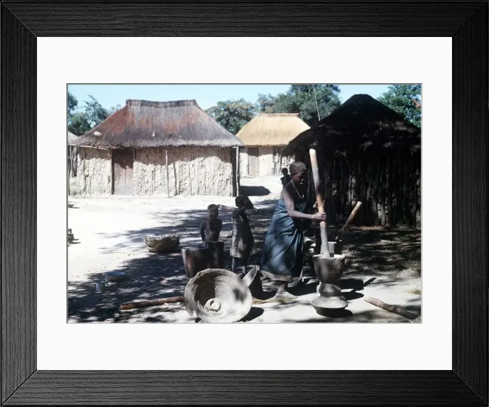Framed Print : native woman pounding manioc in luando at the game reserve in central Angola Framed Print : native woman pounding manioc in luando at the game reserve in central Angola