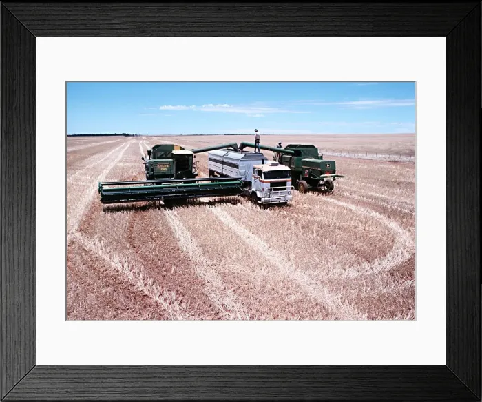 Framed Print : Lorry being loaded with wheat on a large farm in Western Australia Framed Print : Lorry being loaded with wheat on a large farm in Western Australia