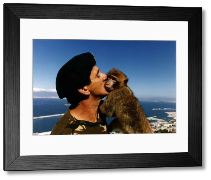 Framed Print : Gibraltar soldier kissing Monkey circa 1990 Framed Print : Gibraltar soldier kissing Monkey circa 1990