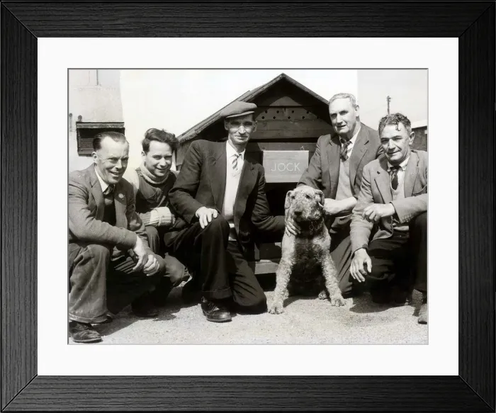 Framed Print : Jock the Airedale dog at Stoughton Army Barracks, Guildford Framed Print : Jock the Airedale dog at Stoughton Army Barracks, Guildford