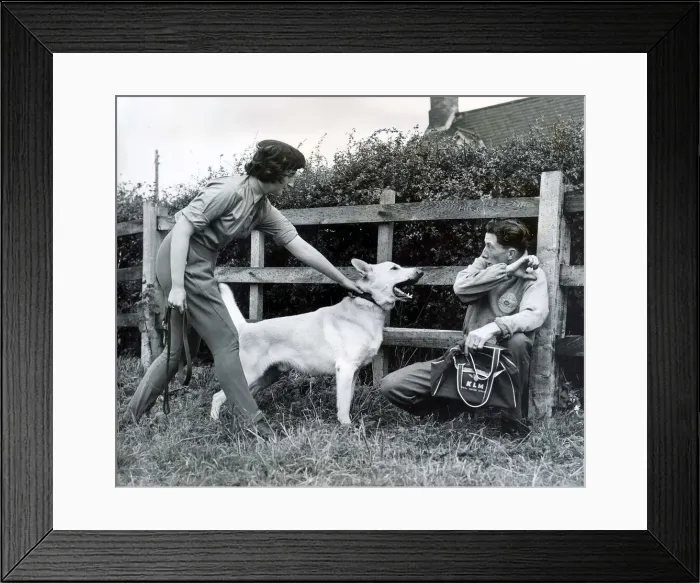 Framed Print : Members of the WRAC are being thought to handle guard dogs at the Royal Army Veterinary Framed Print : Members of the WRAC are being thought to handle guard dogs at the Royal Army Veterinary