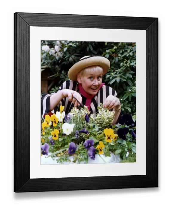Framed Print : Liz Dawn actress who plays the part of Vera Duckworth in Coronation Street in her garden Framed Print : Liz Dawn actress who plays the part of Vera Duckworth in Coronation Street in her garden