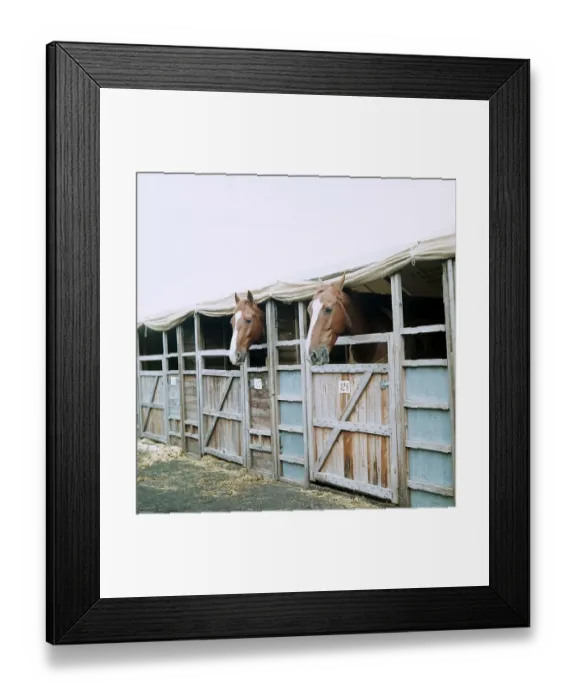 Framed Print : Horse of the Year Show - October 1973 Framed Print : Horse of the Year Show - October 1973