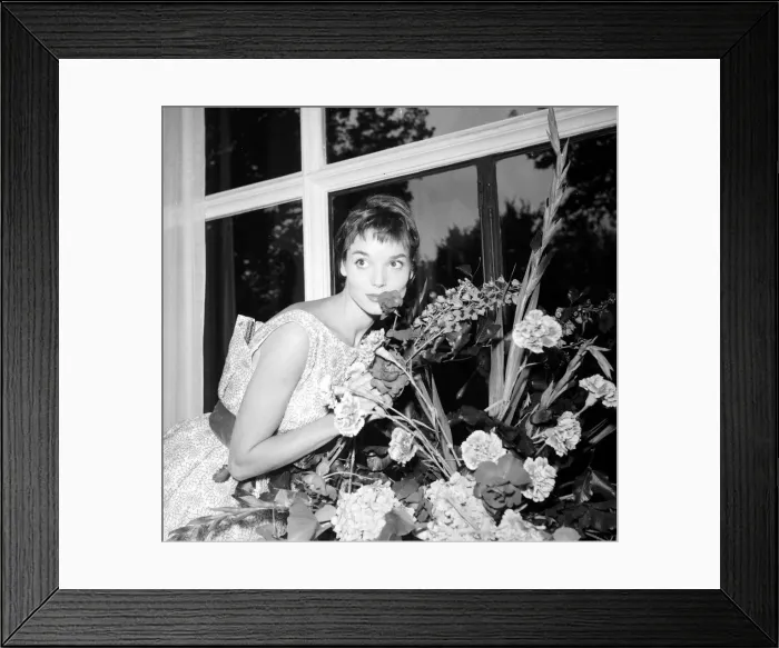 Framed Print : Italian actress Elsa Martinelli pictured at The Savoy Hotel in London July 1957 Framed Print : Italian actress Elsa Martinelli pictured at The Savoy Hotel in London July 1957