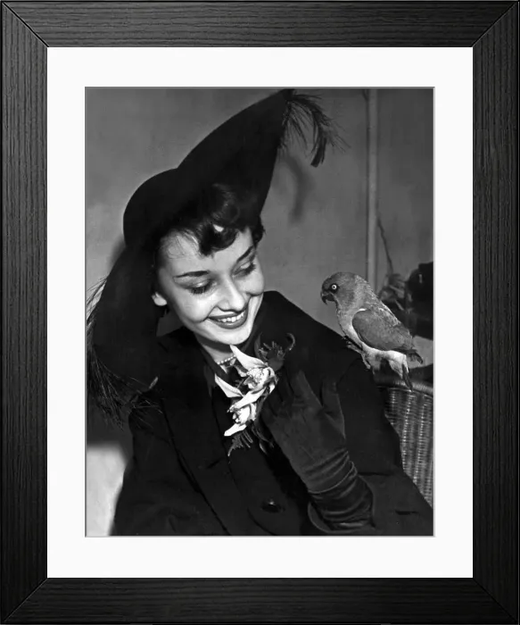 Framed Print : Audrey Hepburn, actress and dancer from the show Sauce Tartare (Cambridge Theatre