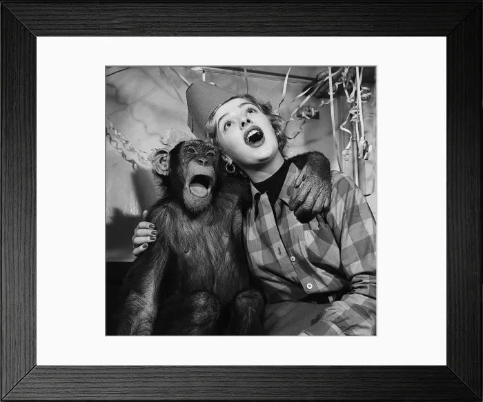 Framed Print : Actress Jill Adams attends a chimps Christmas party at London Zoo 20th December Framed Print : Actress Jill Adams attends a chimps Christmas party at London Zoo 20th December