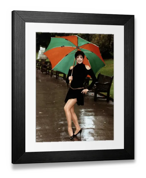 Framed Print : Liza Minnelli actress stars in Stepping Out
