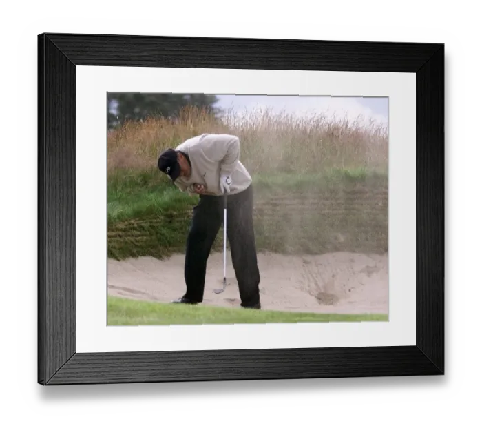 Framed Print : Tiger Woods Golf The Open Championship 1999 Carnoustie Tiger gets caught in a