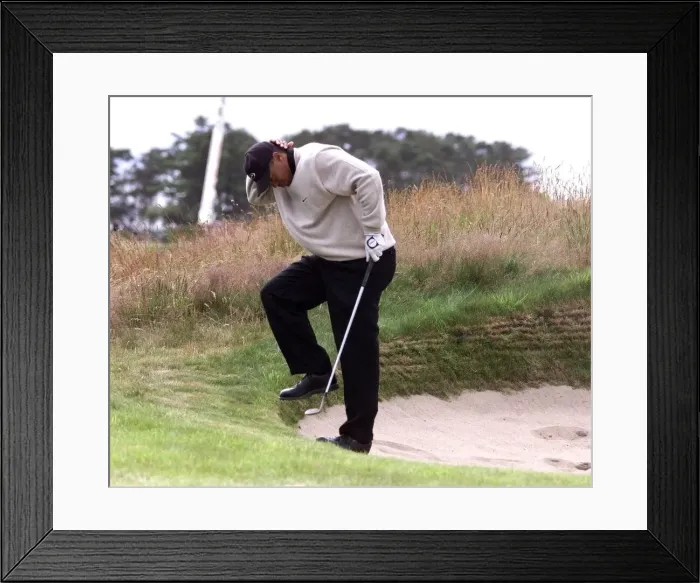 Framed Print : Tiger Woods The Open Championship 1999 Carnoustie Tiger gets caught in a bunker