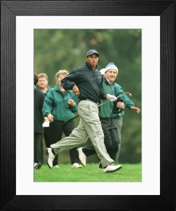 Framed Print : Tiger Woods Wentworth World Matchplay October 1998 runs to see the result of his Framed Print : Tiger Woods Wentworth World Matchplay October 1998 runs to see the result of his