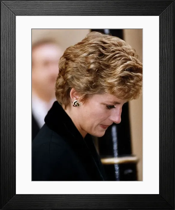 Framed Print : Princess Diana arrives for the relaunch of the Birthright charity at the Regent Hotel
