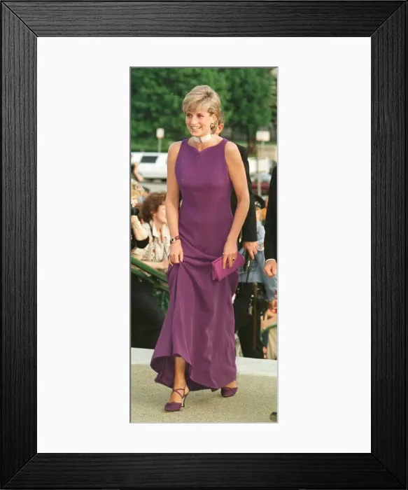 Framed Print : Diana, Princess of Wales, arrives at the Chicago Field Museum of Natural History for a