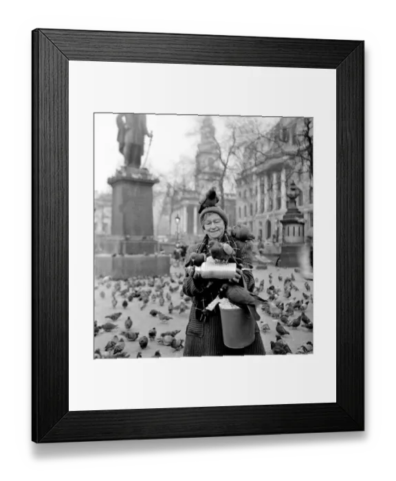 Framed Print : Hot water bottles for the pigeons in Trafalgar Square to keep them warm during a cold Framed Print : Hot water bottles for the pigeons in Trafalgar Square to keep them warm during a cold