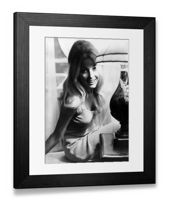 Framed Print : Sharon Tate (22) September 1965 American actress who landed a role in the MGM Framed Print : Sharon Tate (22) September 1965 American actress who landed a role in the MGM