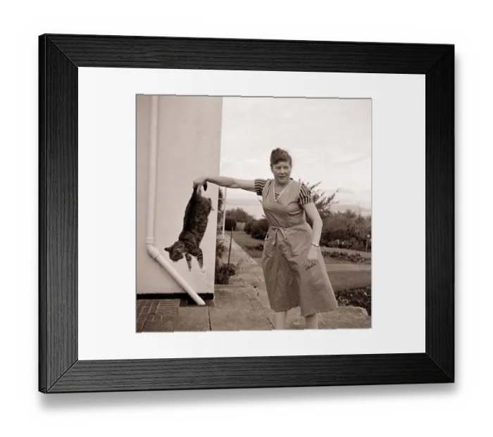 Framed Print : Cat Likes A Swing By Its Tail Tabby cat being swung around in the air by its owner