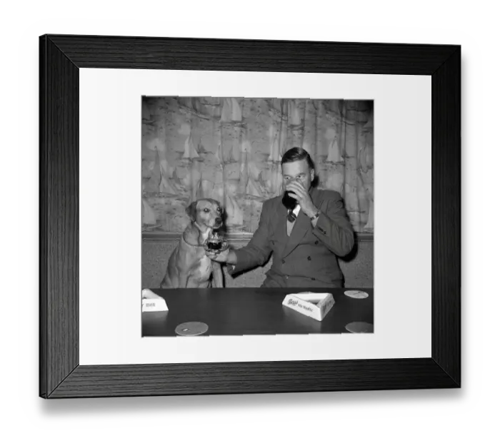 Framed Print : Nemo is served a pint of beer at his local pub November 1959 1950s Framed Print : Nemo is served a pint of beer at his local pub November 1959 1950s