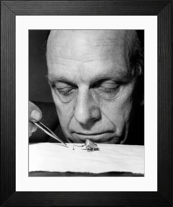 Framed Print : Insects Fleas Flea Circus. Professor Leonard Tomlin training one of his fleas to