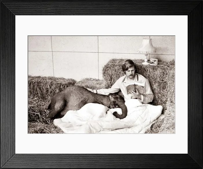 Framed Print : A baby elephant is read a bed time story circa 1971 Framed Print : A baby elephant is read a bed time story circa 1971