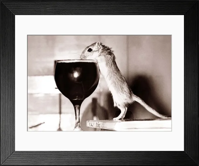 Framed Print : Cheers! With the help of a couple of conveniently placed book Jeremy the Gerbil tucks Framed Print : Cheers! With the help of a couple of conveniently placed book Jeremy the Gerbil tucks