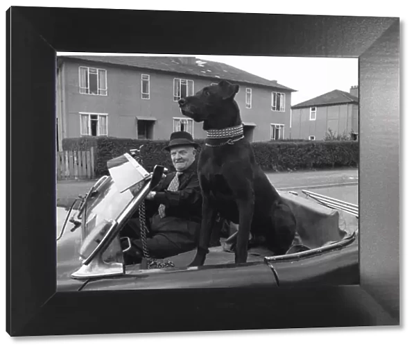 Alf McCormac with his Great Dane Flannigan in the sports car he bought specially for his
