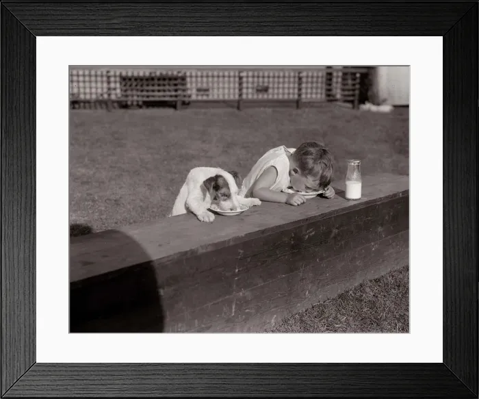 Framed Print : Love is sharing your breakfast A dog and a young boy imitate each other as they lap
