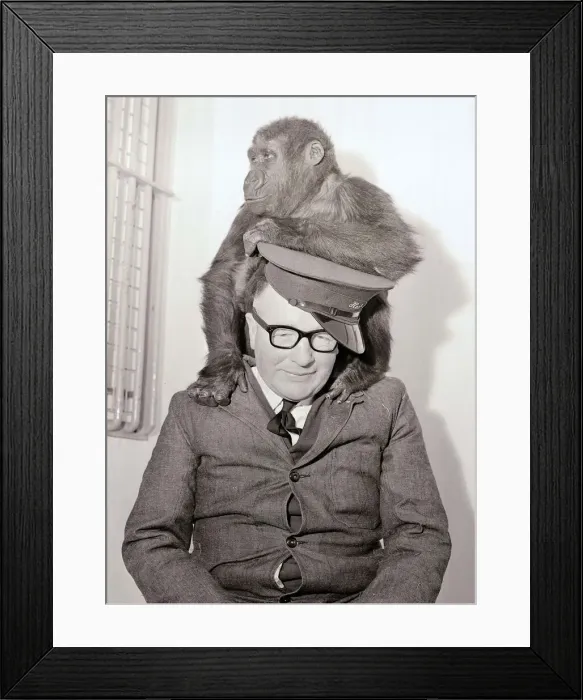 Framed Print : Game keeper with baby gorilla on his shoulders Framed Print : Game keeper with baby gorilla on his shoulders