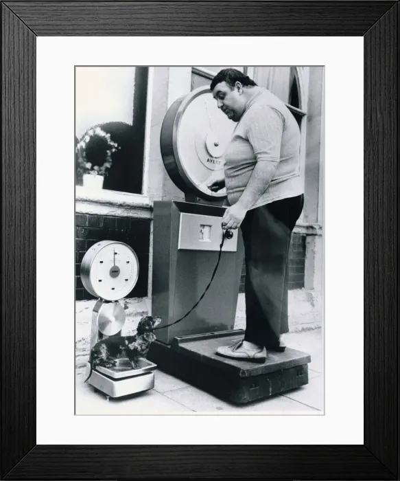 Framed Print : An overweight owner weighs himself on a set of Avery scales Framed Print : An overweight owner weighs himself on a set of Avery scales