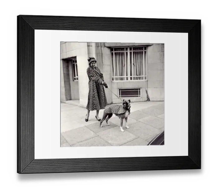 Framed Print : Fur coats for dogs - lady and her boxer dog wearing matching fur coats September
