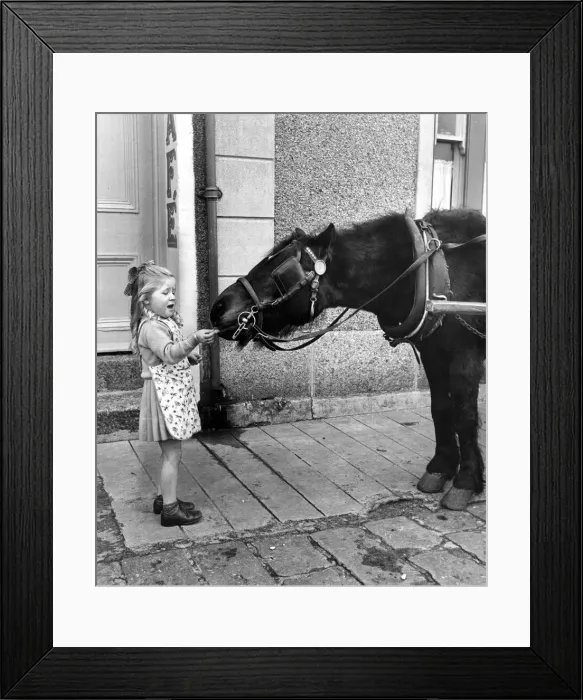Framed Print : Old Matt Pearcoe of St Ives Cornwall, the greengrocer with his cart Framed Print : Old Matt Pearcoe of St Ives Cornwall, the greengrocer with his cart